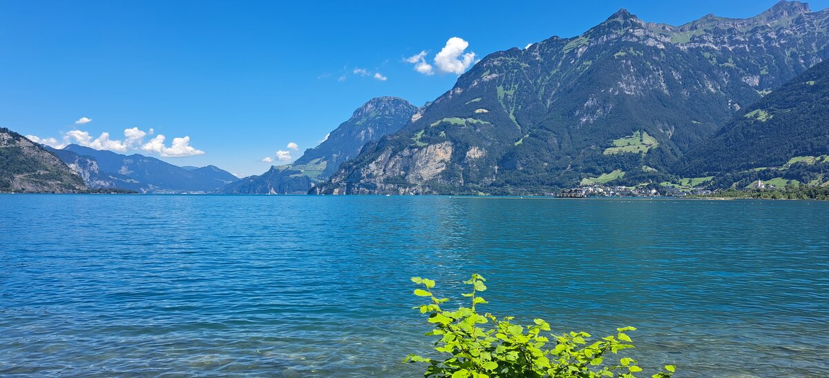 Ihr Immobilien Partner in der Zentralschweiz